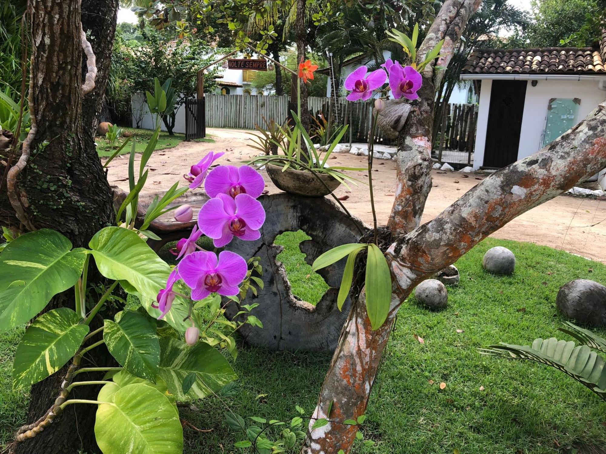 Victor Hugo Pousada Com Natura E L'Occitane Santo Andre  Exterior photo